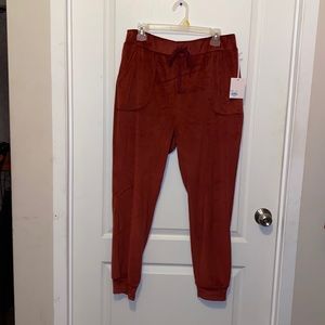 LC Velour Joggers Color: Cinnamon Rust Size: Large